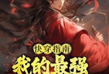 男女主人公叫张纮的小说免费资源-干果文学