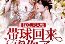 小说《沈总,夫人她带球回来虐你了》在线章节阅读-干果文学