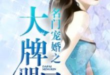 名门宠婚之大牌明星免费阅读,名门宠婚之大牌明星景晏殊贺子钰苏桥染-干果文学