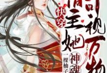 快穿:宿主她神魂可视万物傅雅在线章节免费阅读-干果文学