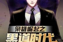 《枭雄崛起之黑道时代由我统领!》全集免费在线阅读(雷震苏凤仪)-干果文学