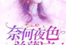 汪晚吟顾允笙江梓熙顾希为主角的小说好看吗?免费读奈何夜色总薄凉-干果文学