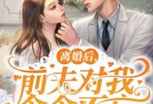 寻找离婚后,前夫对我念念不忘小说的最新更新章节-干果文学