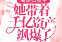 在线寻找离婚如重生,她带着千亿资产飒爆了小说的无删减版本-干果文学