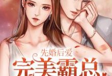 先婚后爱:完美霸总养成系统小说,先婚后爱:完美霸总养成系统最新章节-干果文学