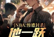 寻找NBA:惨遭封杀,他一跃成为最强小说的最新更新章节-干果文学
