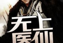 在线寻找无上医仙小说的无删减版本-干果文学