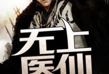 江小白上官婉清是哪本书的主角?寻找无上医仙免费阅读-干果文学