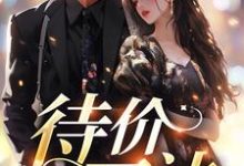 待价而沽这本小说怎么样?免费在线阅读试试-干果文学