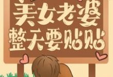 主人公叫叶城柳昭晴的小说哪里免费看-干果文学