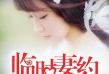 临时妻约小说有没有完整的免费版本在线阅读?-干果文学