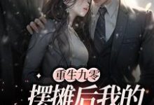 重生九零：摆摊后我的人生开挂了小说全文哪里可以免费看？-干果文学