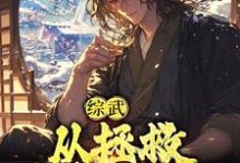 小说《综武:从拯救殷素素开始》在线章节阅读-干果文学
