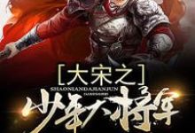大宋之少年大将军白风仪赵桓岳飞童贯,大宋之少年大将军章节在线阅读-干果文学