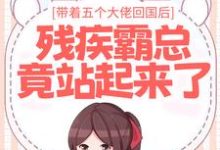 已完结小说《带着五个大佬回国后,残疾霸总竟站起来了》章节免费阅读-干果文学