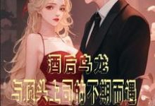 主角宋熙妍墨璟轩小说酒后乌龙!与顶头上司的不期而遇免费阅读-干果文学