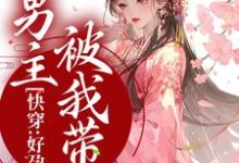 快穿:好孕生子后,男主被我带飞徐婉楚宴宸小说大结局免费试读-干果文学