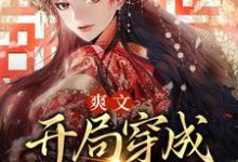 免费看爽文:开局穿成尊贵贵妃小说的网站有哪些?-干果文学