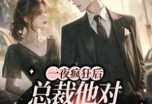 白理顾锐彦的故事在哪本书里?免费阅读一夜疯狂后,总裁他对我疯狂上头-干果文学