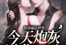 王明月徐朝朝的故事在哪本书里?免费阅读快穿霸总世界:今天炮灰逆袭了吗-干果文学