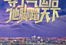赵凡苏柔是哪本书的主角?夺了气运后,他脚踏天下免费读-干果文学