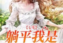 免费阅读王宝宝商时序为主角的小说,七零:躺平我是认真的在线看-干果文学