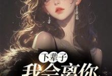 下辈子,我会离你远远的林宛菀顾声寒,下辈子,我会离你远远的小说免费阅读-干果文学