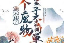 藏不住了!这个废物皇子不简单小说,藏不住了!这个废物皇子不简单最新章节-干果文学
