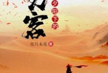 夕阳下的刀客小说最新章节在哪里可以读到?-干果文学