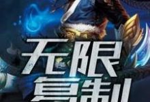 无限复制林凡凌风钱如山楚晶小说在线章节目录阅读最新章节-干果文学