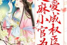 已完结小说《甜宠:芝麻小官为爱成权臣了》章节在线阅读-干果文学