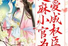 完结版《甜宠:芝麻小官为爱成权臣了》章节目录在线阅读-干果文学