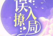误撩入局主角祁砚舒漾小说完结版章节在线阅读-干果文学
