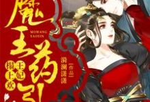 魔王药引:王妃榻上欢小说,魔王药引:王妃榻上欢免费阅读-干果文学