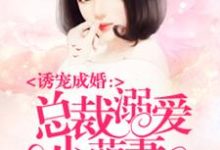 主人公林萱厉靖焰程悦小说总裁溺爱小萌妻在线章节阅读-干果文学