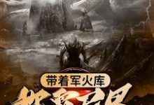 主人公叫羽尘书琴胡媚儿纳兰夜雪的小说哪里免费看-干果文学