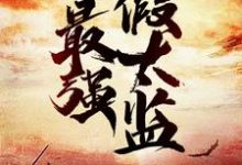 龙辰帝洛曦为主角的小说叫什么?免费看最强假太监-干果文学
