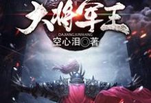三国之大将军王小说,三国之大将军王在线阅读-干果文学