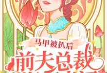 已完结小说《马甲被扒后,前夫总裁悔不当初》最新章节-干果文学