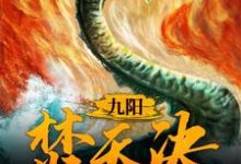 萧凌北清雪小说叫什么(九阳焚天决免费阅读)-干果文学