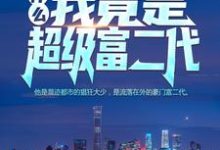 什么?我竟是超级富二代!小说,什么?我竟是超级富二代!免费阅读-干果文学