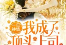 《一见钟情：我成了顶头上司的心尖宠》小说章节列表免费试读，苏卿禾陆晏辞小说在线阅读-干果文学