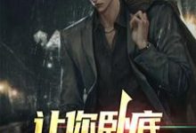 完结版《让你卧底,没让你当老大》免费阅读-干果文学