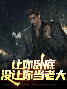 完结版《让你卧底，没让你当老大》免费阅读