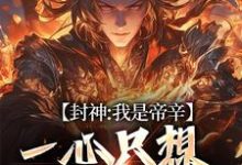 求封神:我是帝辛,一心只想当昏君小说免费资源-干果文学