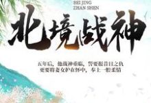 主人公叫 陈宁宋娉婷的小说北境战神在线阅读章节-干果文学