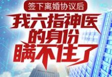 主角 林悦叶可卿小说签下离婚协议后,我六指神医的身份瞒不住了免费阅读-干果文学