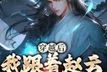 穿越后,我跟着赵云混三国小说无弹窗阅读的网站推荐-干果文学