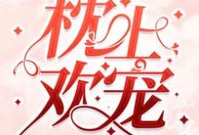 《枕上欢宠》小说章节在线试读,《枕上欢宠》最新章节目录-干果文学