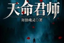 已完结小说《天命君师》章节免费阅读-干果文学